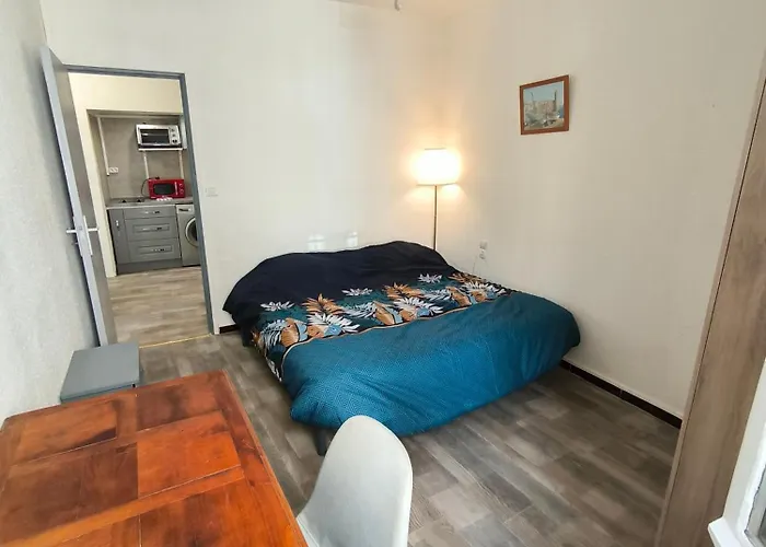 Appartement Chaleureux Dans Le Centre De Beziers